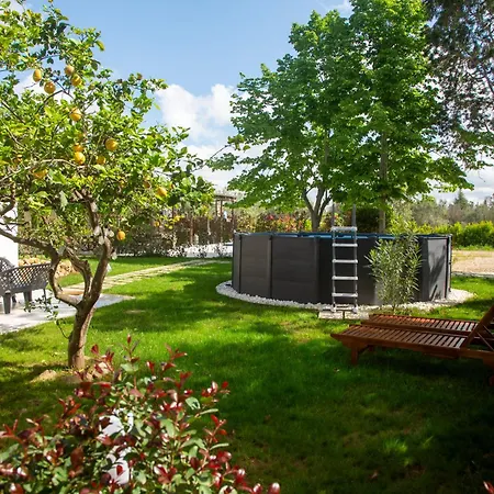 Dependance - - Alfa Apartment Lequile